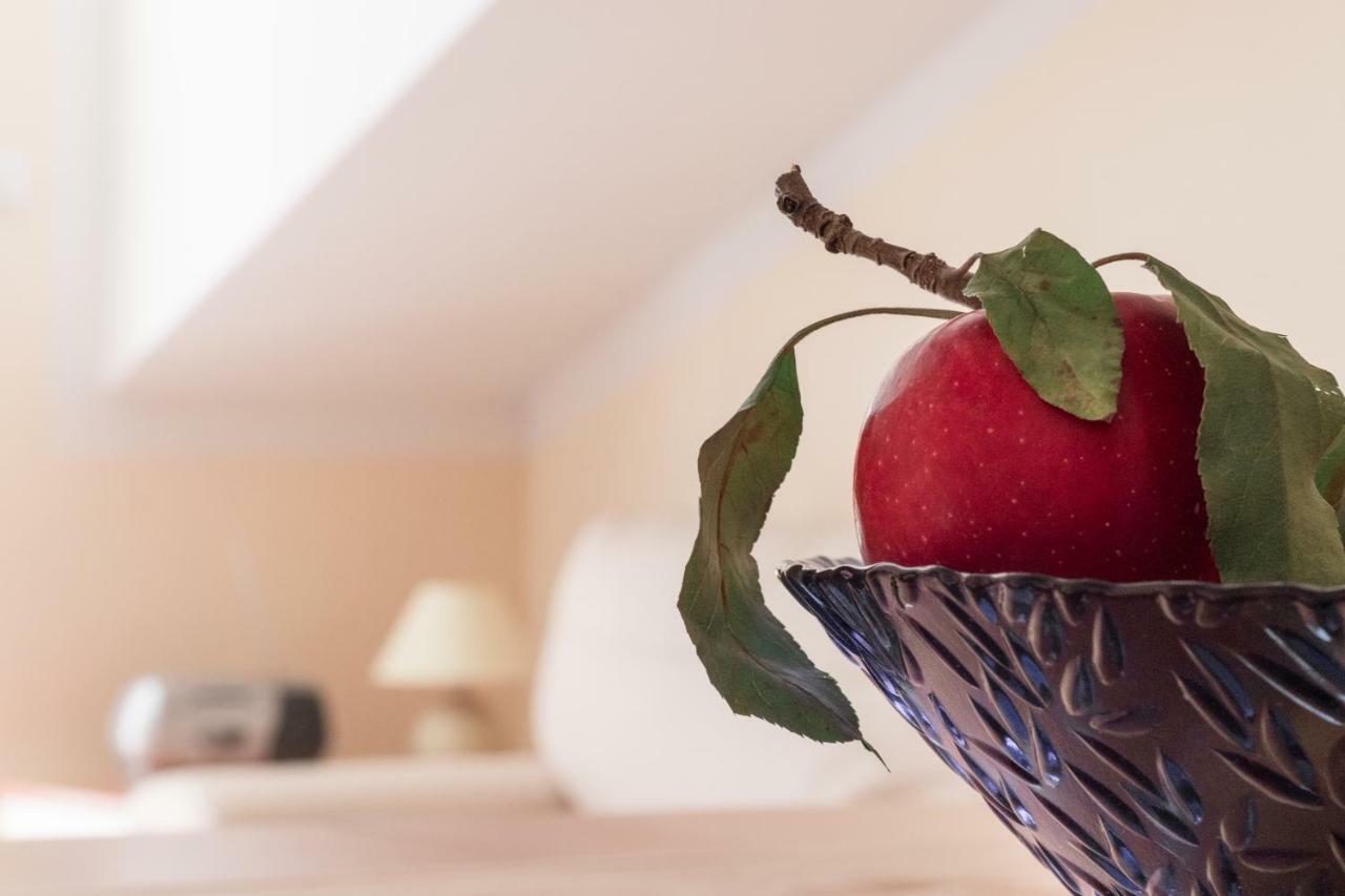 טוראני Apartman Nena מראה חיצוני תמונה